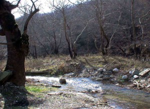 Θερμοπόταμος