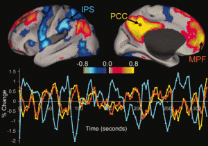 http://www.pnas.org/content/102/27/9673.full