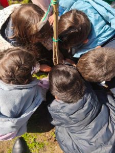 7d481653d0e132d4b3b48826052b334d