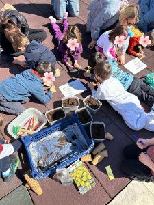 Anonymo schedio.zip 6