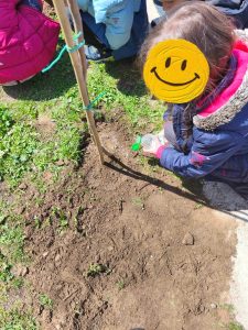 bca363fbf377dec130988efa9c5f324b