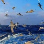 Seagulls Beside Ferry Boat