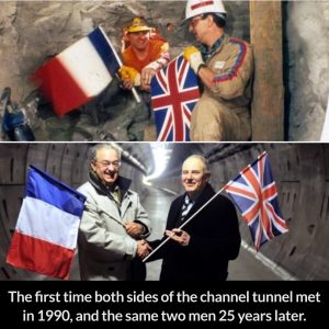 The Channel Tunnel