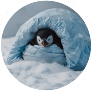 imageedit 14 5077374189