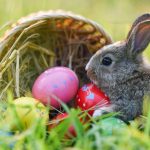 drei-dinge-die-sie-schon-immer-ueber-ostern-wissen-wollten-full