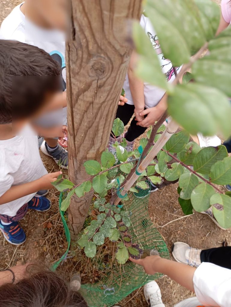 Εικόνα https://blogs.sch.gr/langel/files/2025/06/1-771x1024.jpg