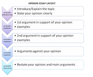 layout of an opinion essay