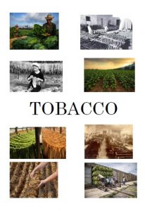 Tobacco