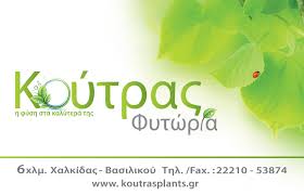 kOYTRAS LOGO