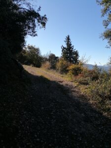 IMG 20240206 095755