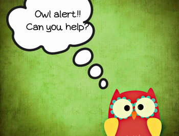 Owl alert!! Can you help?