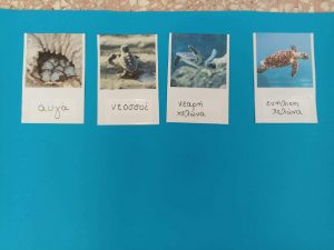 received 437078051587867