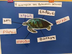 received 713004583286032