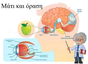 pws iatrikh apeikonish ergasias matiwn mati diagramma egkefaloy 108512838 transformed