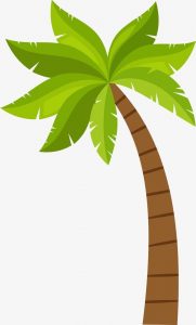 imgbin cartoon coconut tree pattern jquHDxq6qRWZHs1A1Kyz4WXRT4545