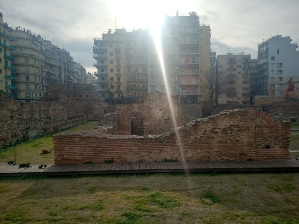 IMG 20240205 145118