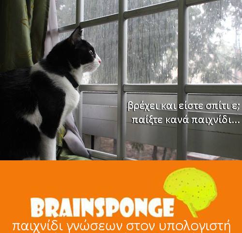 brainsponge