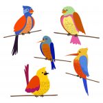 Perch_Bird_Clipart_Set