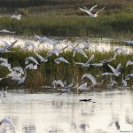 Place To Visit Evros River in Greece