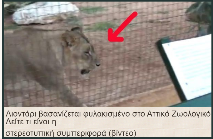 τίτλο 14