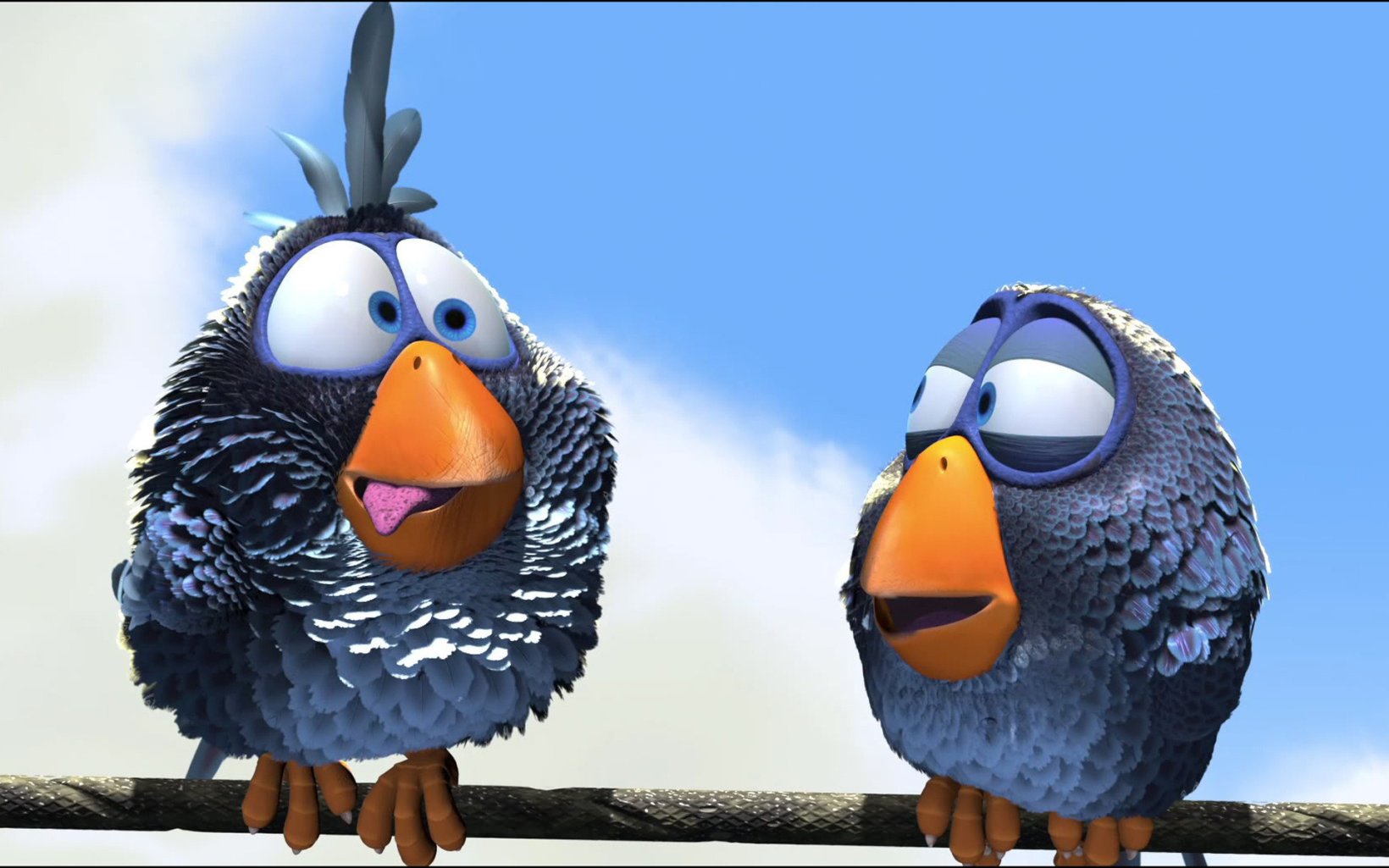 for the birdspic2