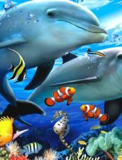 Ocean-sea-waves-underwater-animals-dolphins-exotic-colorful-fish-sip-corals-underwater-landscape-paradise-art-paintings-marine-animals-1920×1200-915×515