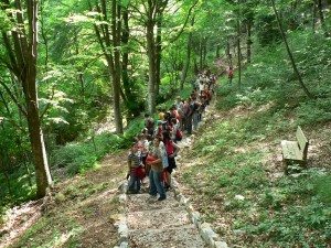 Περιβαλλοντική εκπαίδευση