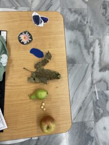 0 02 05 d05a2b751ceac5d4b45dc70829af93e097dedd0cdea1f4f6b3c60ca534f511dc 1c6dbfe6925ea0