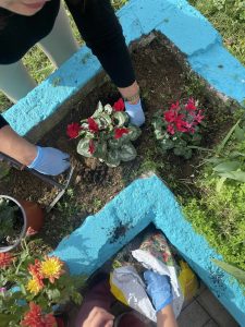 Messenger creation 0973ED24 7907 4DCF 9B83 968D00C22849