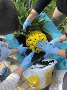 Messenger creation BC4258E7 DBBF 493E B192 6E21F83D6E1D