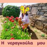 ΛΟΥΛΟΥΔΟΛΟΓΙΟ ΑΛΕΞΑΝΔΡΑΣ