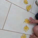 IMG 0ac96a4cefcd7ce8a5dbb10fb1339b19 V