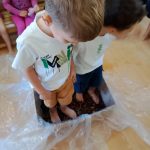 84370bd0 daf3 4ee6 9834 5142a344b4ae