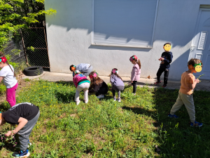 image 2025 04 30T145249.789