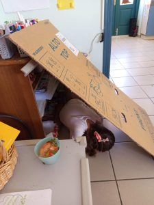 Messenger creation 171BDB7F 019F 4153 A34A 048A3453BA14