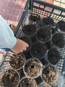 IMG 20251215 110334 ANIMATION