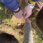 09478E66 AE6D 4934 9A14 84084462B36B