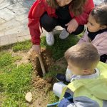 241691C5 F029 456B B86A 8748E10231FA