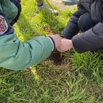 6C6BF2EA 0BDF 43BE ACFF FC9316BEED52