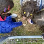 E17FFA83 76F7 47AE 8714 29854AAAE998