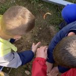 EB7A84FE 2A5D 4DEA 827D 9E19DA0346E7