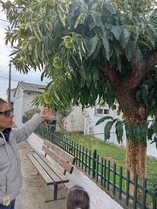 0880cf82 c03b 4602 a5d4 d7cede0fb012