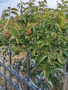 9fd6f3f1 e0a9 4d28 b79f 91da63d499ee