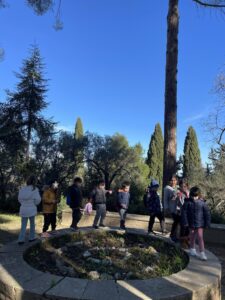 received 425795226448429