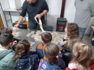 3669a791 976c 486e 970b ffc90bbbd624