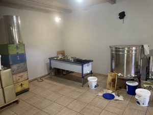 IMG 4761