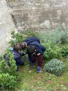 IMG e31c8a08c7d044abda105326f8d5f4aa V