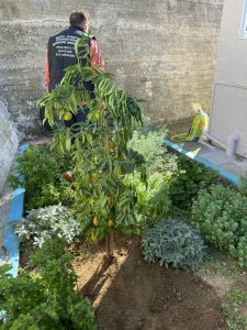 IMG 844028f3bdd4a2d2fe9505af2754caa8 V