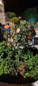 Άναμμα δέντρου 2