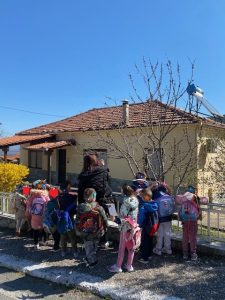 IMG 4969
